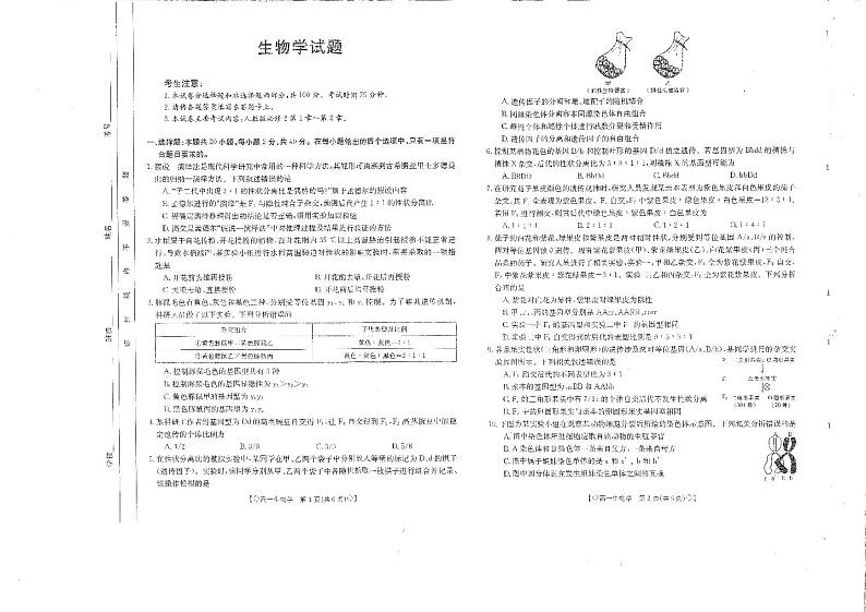 四川省雅安市四校联考2023-2024学年高一下学期期中考试生物试卷(PDF版附答案)第1页