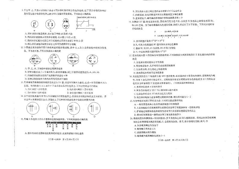 四川省雅安市四校联考2023-2024学年高一下学期期中考试生物试卷(PDF版附答案)第2页