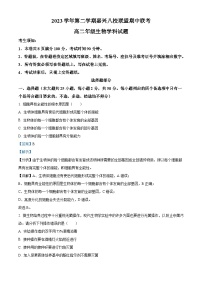 浙江省嘉兴八校2023-2024学年高二下学期4月期中联考生物试卷（Word版附解析）