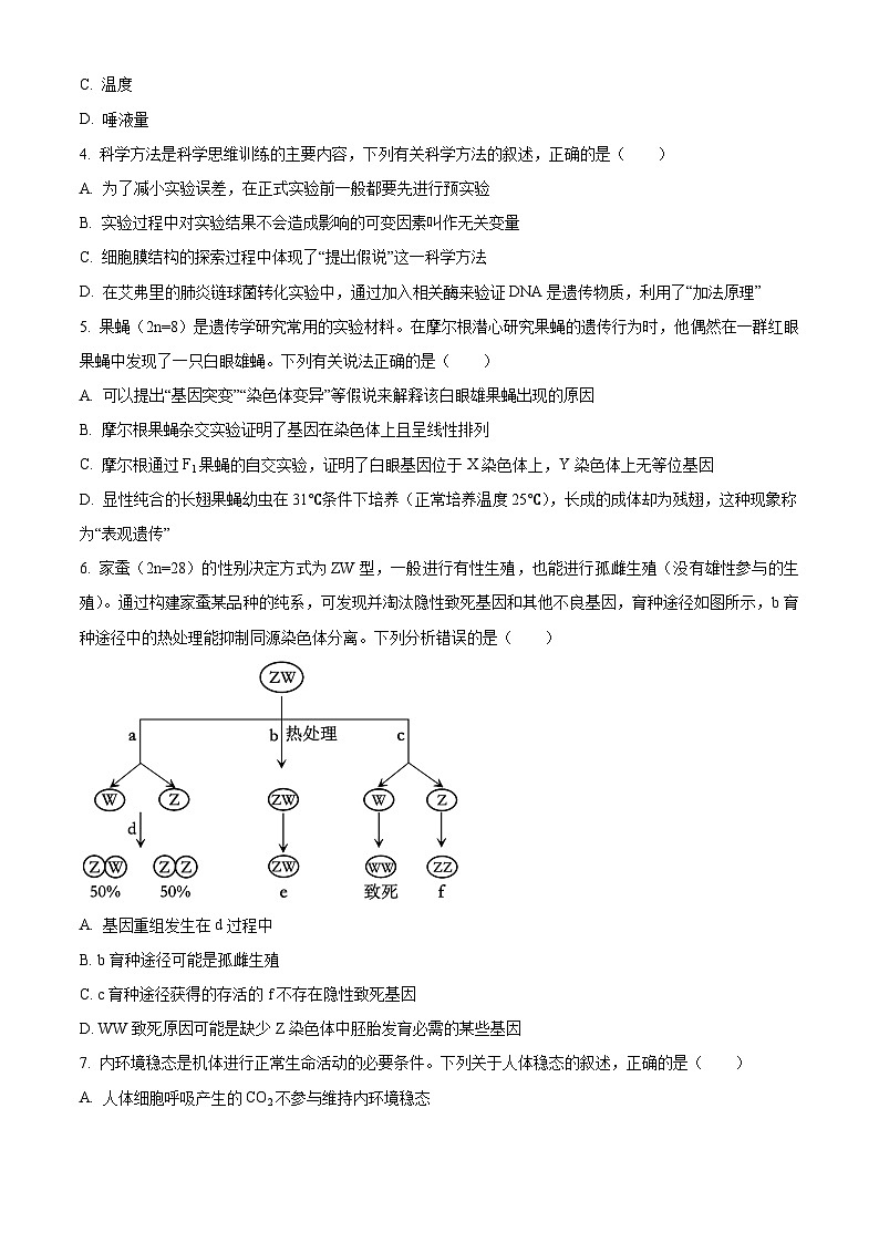 2024梅州高三下学期4月二模试题生物含解析02