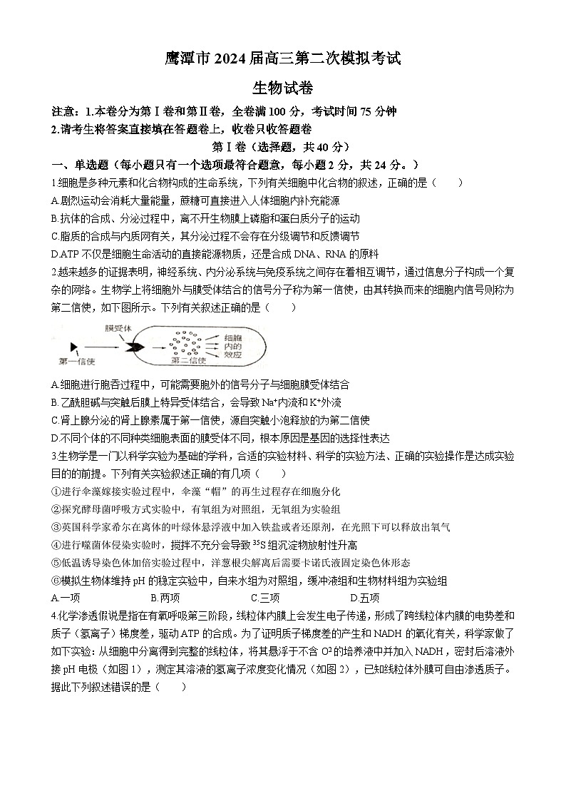 2024鹰潭高三下学期第二次模拟考试生物试题(无答案)01