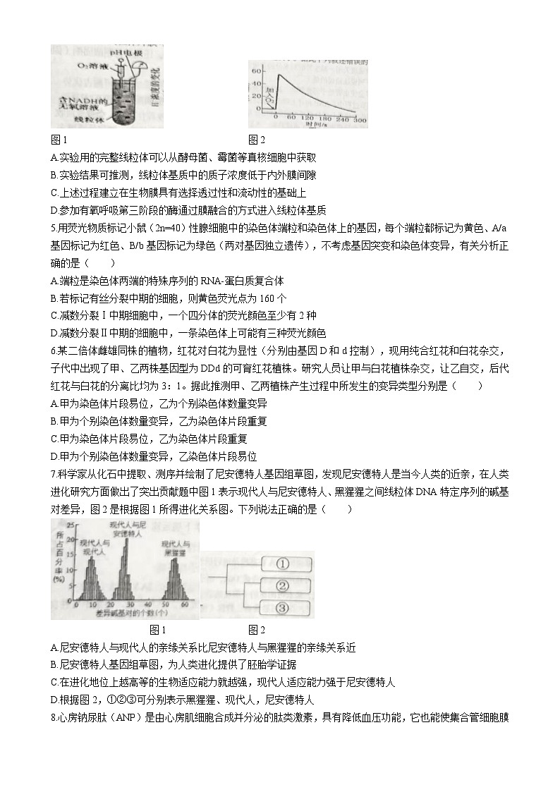 2024鹰潭高三下学期第二次模拟考试生物试题(无答案)02