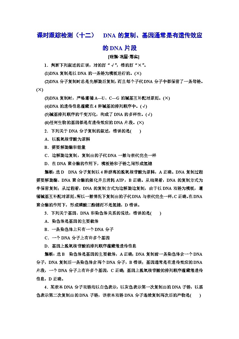 人教版高中生物必修2課時跟蹤檢測（十二）DNA的復制、基因通常是有遺傳效應的DNA片段含答案第1頁