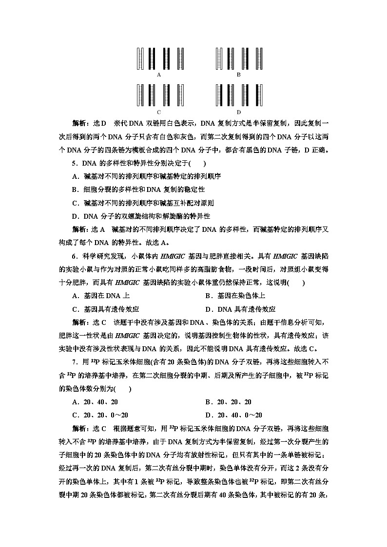 人教版高中生物必修2課時跟蹤檢測（十二）DNA的復制、基因通常是有遺傳效應的DNA片段含答案第2頁