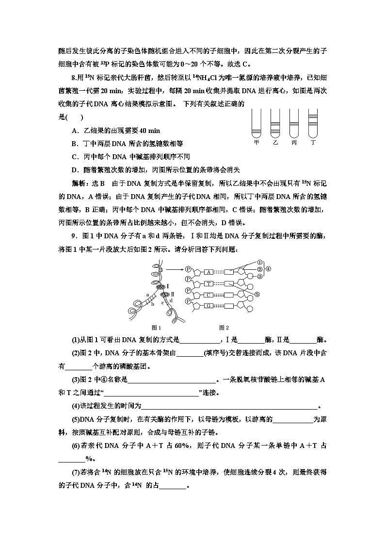 人教版高中生物必修2課時跟蹤檢測（十二）DNA的復制、基因通常是有遺傳效應的DNA片段含答案第3頁