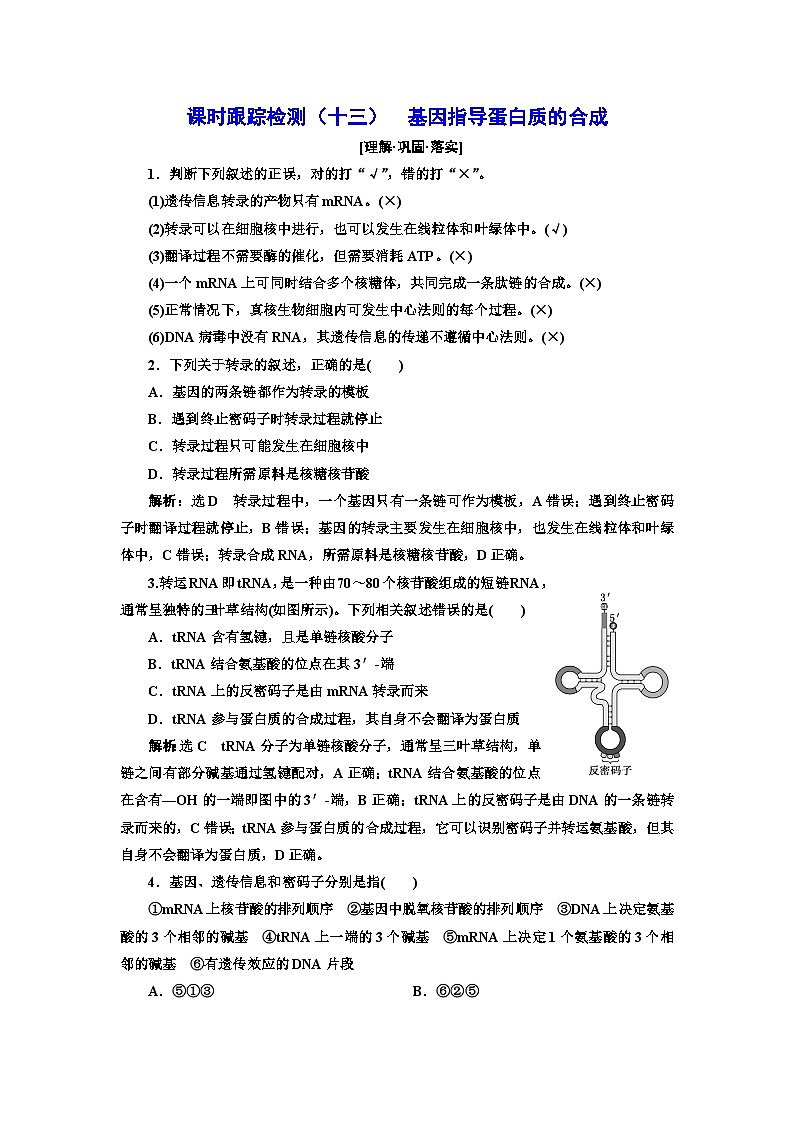 人教版高中生物必修2課時(shí)跟蹤檢測（十三）基因指導(dǎo)蛋白質(zhì)的合成含答案第1頁