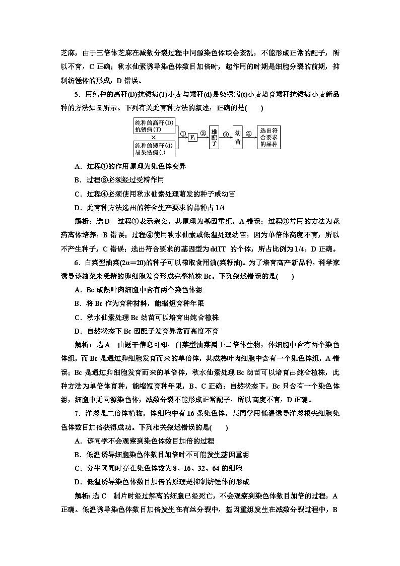 人教版高中生物必修2課時跟蹤檢測（十六）染色體變異含答案第2頁