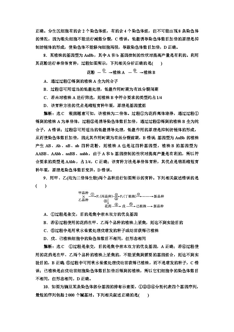 人教版高中生物必修2課時跟蹤檢測（十六）染色體變異含答案第3頁