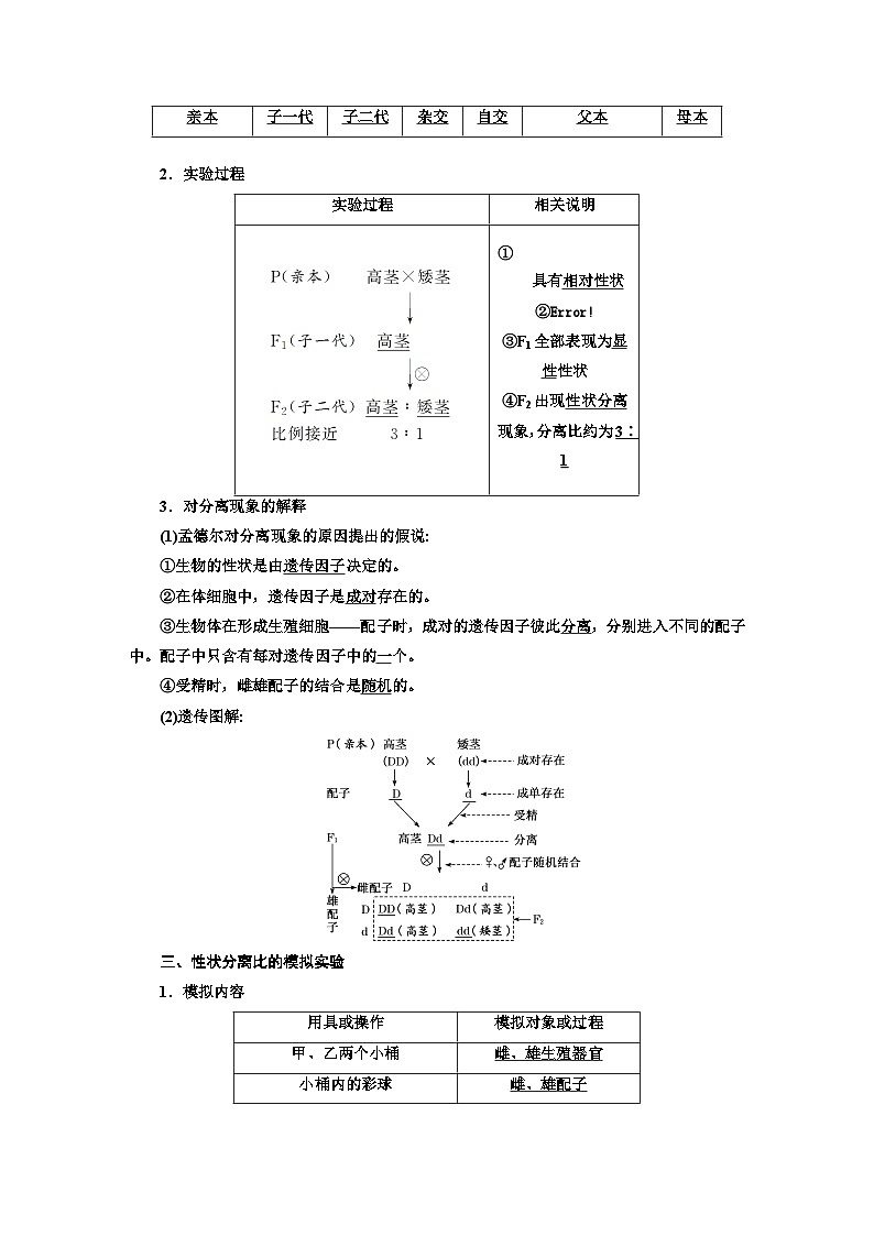 人教版高中生物必修2第1章遗传因子的发现学案03