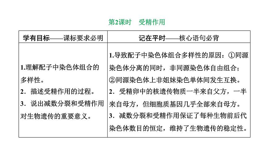 人教版高中生物必修2第2章基因和染色體的關系第1節(jié)減數(shù)分裂和受精作用第2課時受精作用課件第1頁