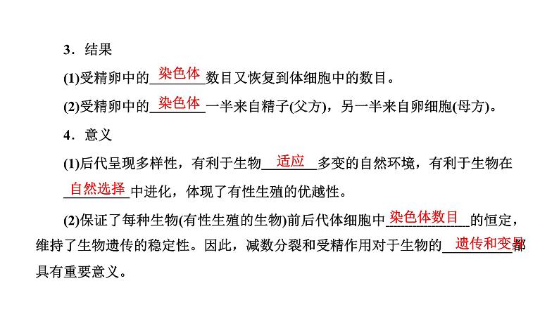 人教版高中生物必修2第2章基因和染色体的关系第1节减数分裂和受精作用第2课时受精作用课件05