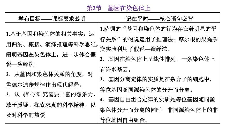 人教版高中生物必修2第2章基因和染色體的關(guān)系第2節(jié)基因在染色體上課件第1頁