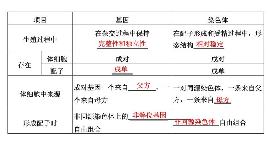 人教版高中生物必修2第2章基因和染色體的關(guān)系第2節(jié)基因在染色體上課件第3頁