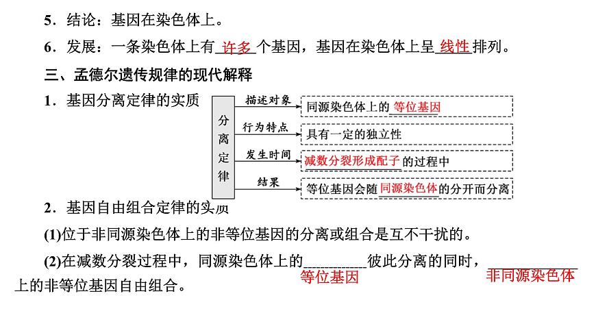 人教版高中生物必修2第2章基因和染色體的關(guān)系第2節(jié)基因在染色體上課件第6頁