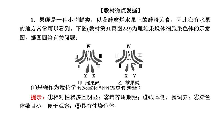人教版高中生物必修2第2章基因和染色體的關(guān)系第2節(jié)基因在染色體上課件第7頁
