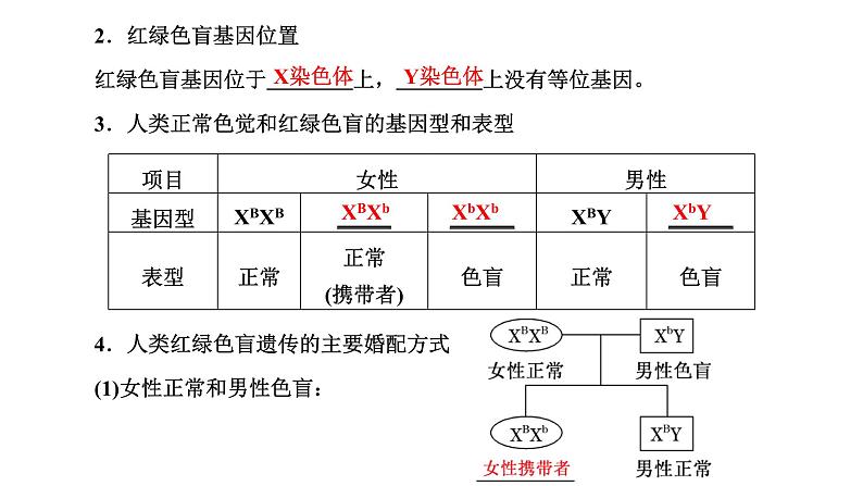 人教版高中生物必修2第2章基因和染色体的关系第3节伴性遗传课件第3页