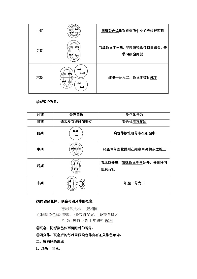 人教版高中生物必修2第2章基因和染色体的关系学案03