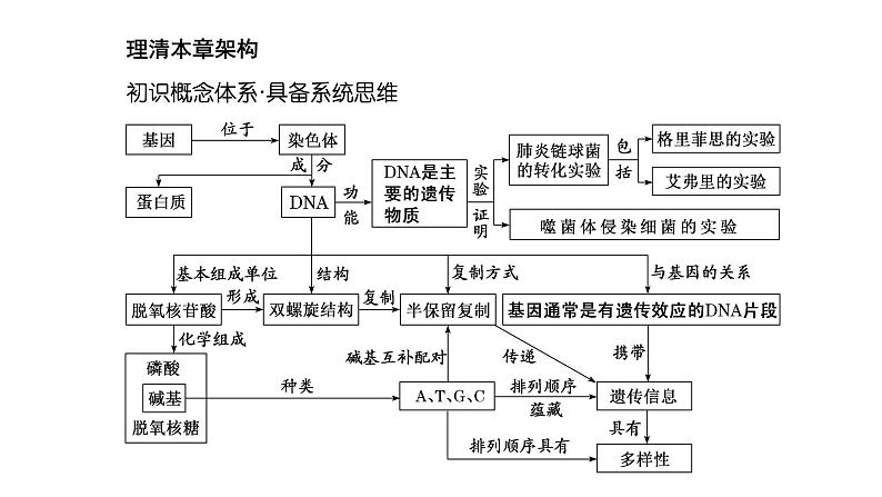 人教版高中生物必修2第3章基因的本质第1节DNA是主要的遗传物质课件第3页