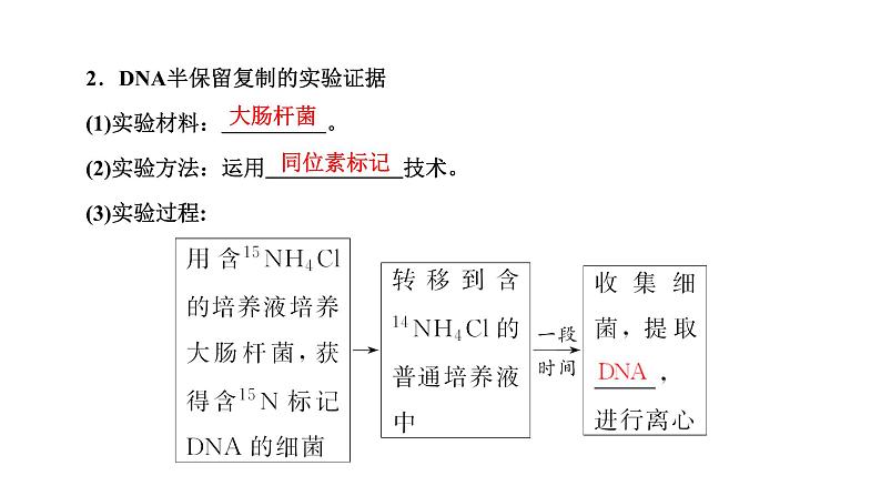 人教版高中生物必修2第3章基因的本质第3、4节DNA的复制、基因通常是有遗传效应的DNA片段课件第3页