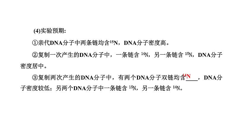 人教版高中生物必修2第3章基因的本质第3、4节DNA的复制、基因通常是有遗传效应的DNA片段课件第4页
