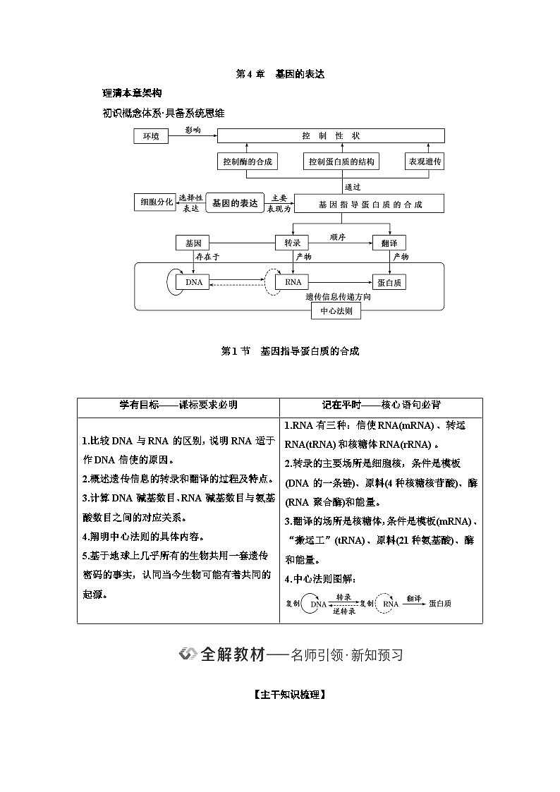 人教版高中生物必修2第4章基因的表达学案第1页
