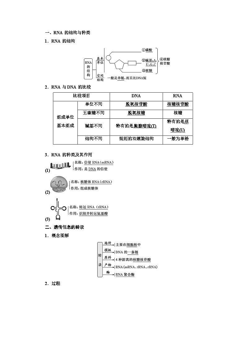 人教版高中生物必修2第4章基因的表达学案第2页