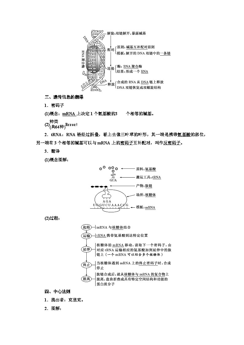 人教版高中生物必修2第4章基因的表达学案第3页