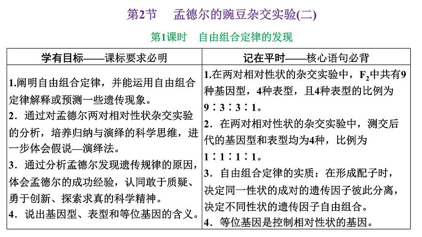 人教版高中生物必修2第1章遺傳因子的發(fā)現(xiàn)第2節(jié)孟德?tīng)柕耐愣闺s交實(shí)驗(yàn)(二)第1課時(shí)自由組合定律的發(fā)現(xiàn)課件第1頁(yè)