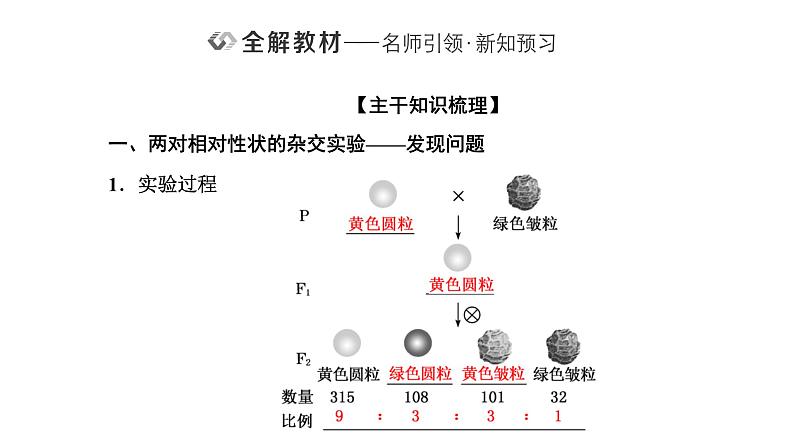 人教版高中生物必修2第1章遗传因子的发现第2节孟德尔的豌豆杂交实验(二)第1课时自由组合定律的发现课件第2页