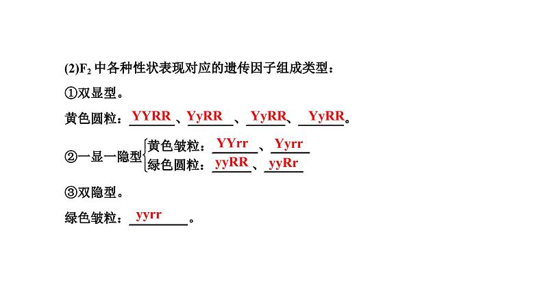 人教版高中生物必修2第1章遗传因子的发现第2节孟德尔的豌豆杂交实验(二)第1课时自由组合定律的发现课件第7页