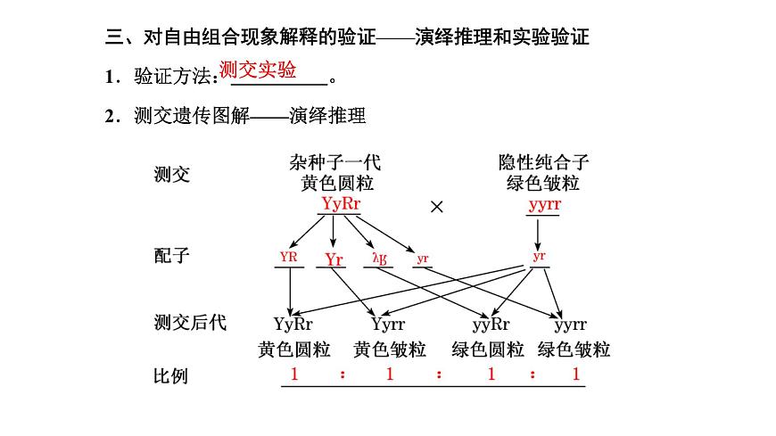 人教版高中生物必修2第1章遺傳因子的發(fā)現(xiàn)第2節(jié)孟德?tīng)柕耐愣闺s交實(shí)驗(yàn)(二)第1課時(shí)自由組合定律的發(fā)現(xiàn)課件第8頁(yè)