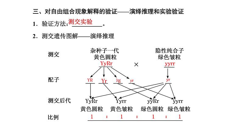 人教版高中生物必修2第1章遗传因子的发现第2节孟德尔的豌豆杂交实验(二)第1课时自由组合定律的发现课件第8页