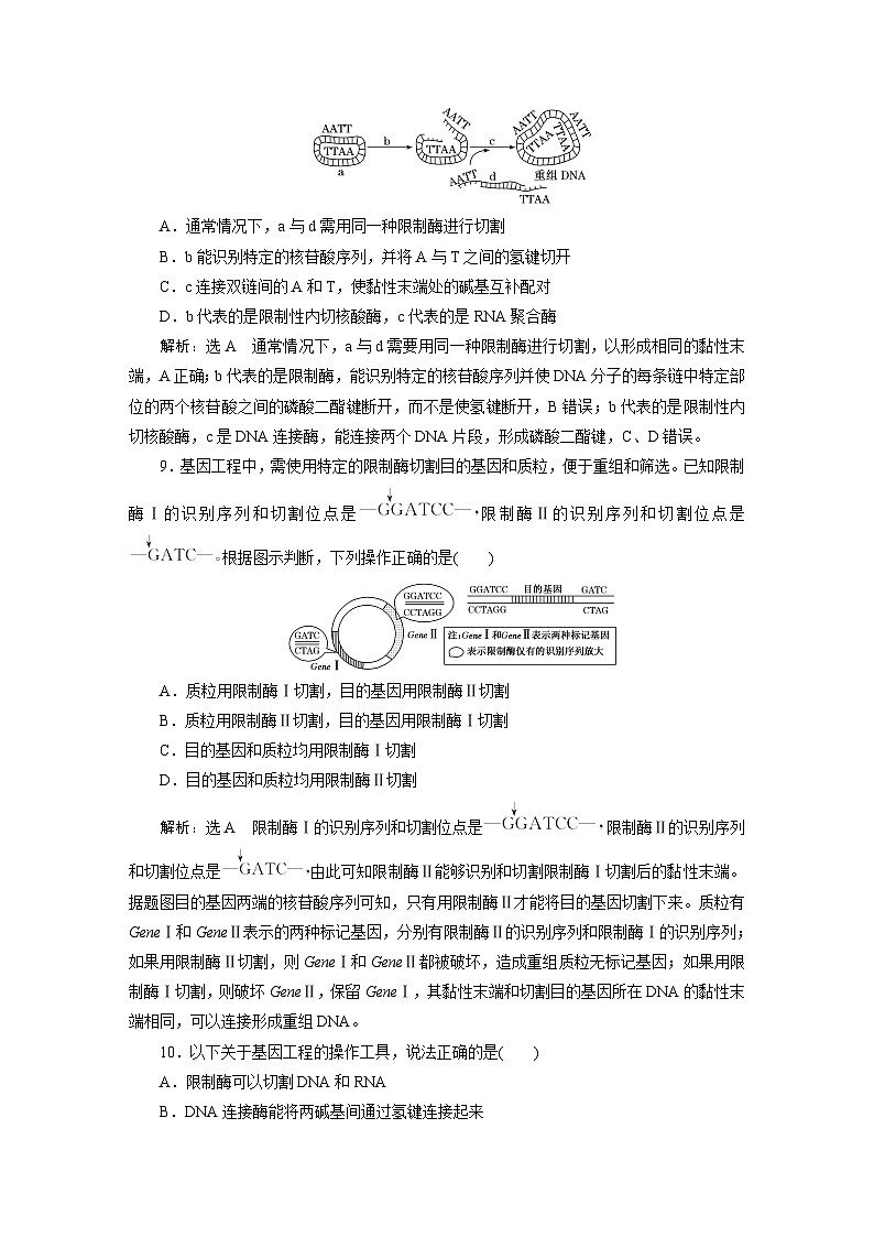 人教版高中生物选择性必修3课时跟踪检测(十二) 重组DNA技术的基本工具含答案第3页