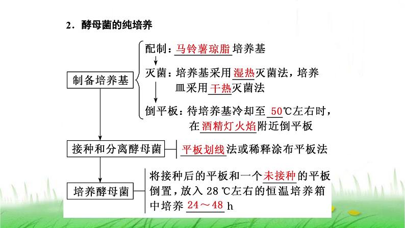 人教版高中生物选择性必修3第1章发酵工程第2节第1课时微生物的基本培养技术课件05
