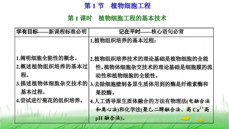 人教版高中生物选择性必修3第2章细胞工程第1节第1课时植物细胞工程的基本技术课件第4页