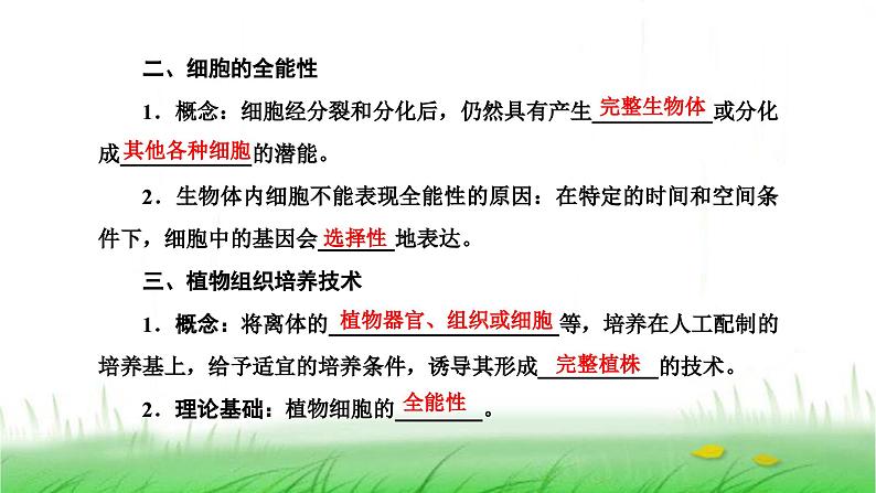 人教版高中生物选择性必修3第2章细胞工程第1节第1课时植物细胞工程的基本技术课件第6页