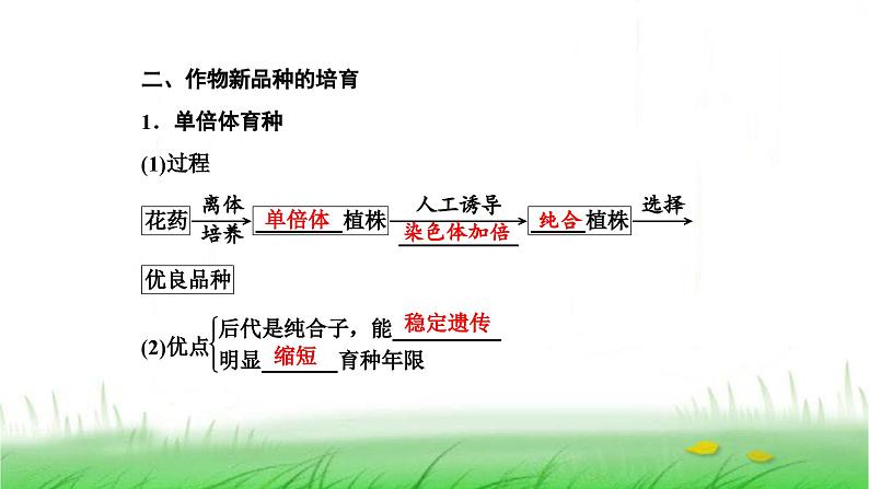 人教版高中生物选择性必修3第2章细胞工程第1节第2课时植物细胞工程的应用课件04