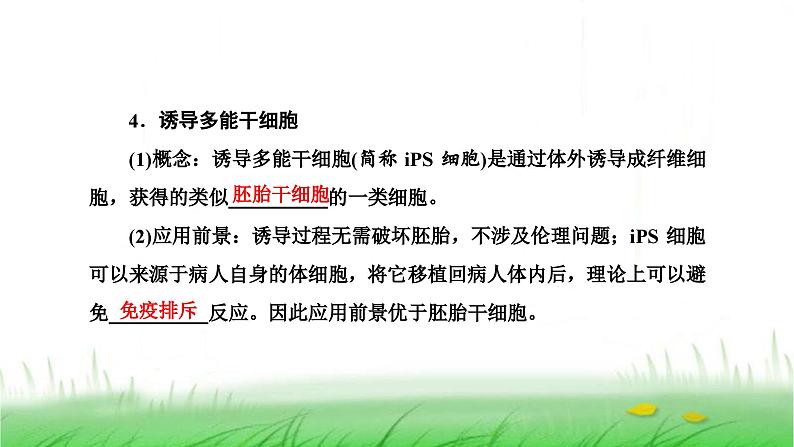 人教版高中生物选择性必修3第2章细胞工程第2节第1课时动物细胞培养课件08