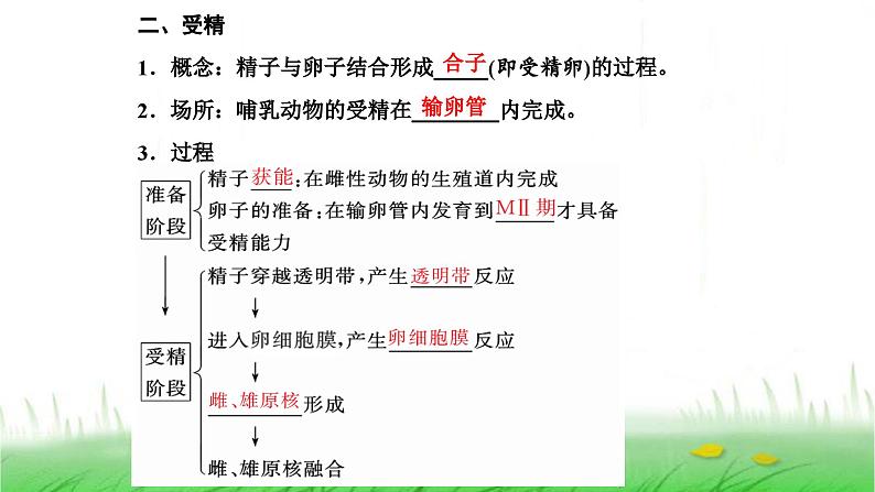 人教版高中生物选择性必修3第2章细胞工程第3节第1课时胚胎工程的理论基础课件第3页