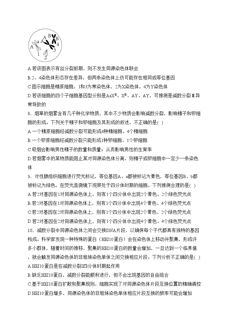 湖北省武汉市部分重点高中2023-2024学年高一下学期期中考试生物试卷(含答案)03