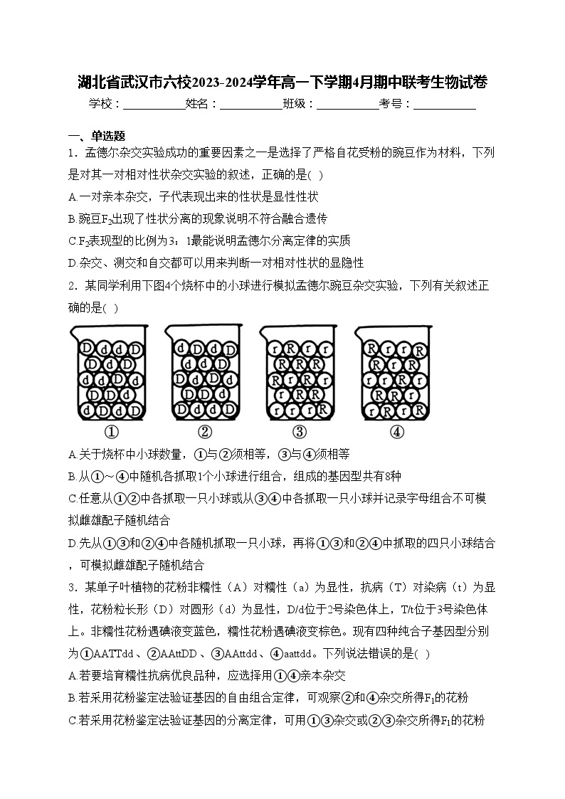 湖北省武汉市六校2023-2024学年高一下学期4月期中联考生物试卷(含答案)01