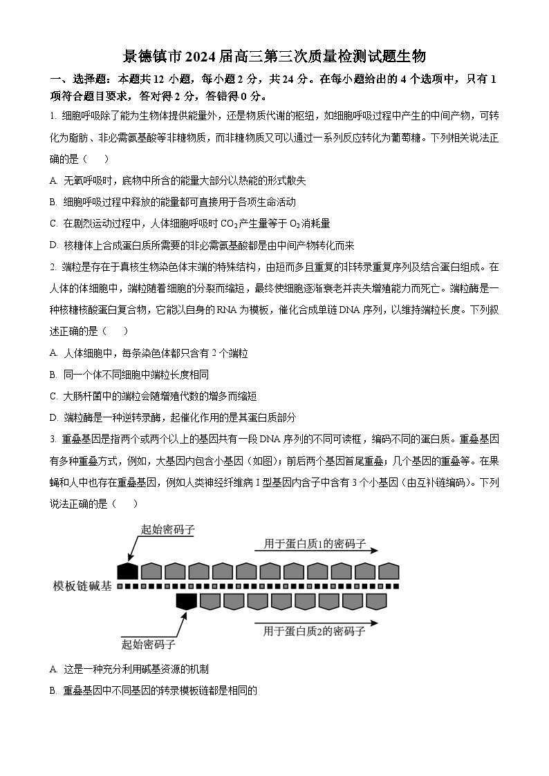 2024届江西省景德镇市高三下学期第三次质量检测生物试题（原卷版+解析版）