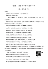 河南省洛阳市2023-2024学年高二下期期中考试生物试卷