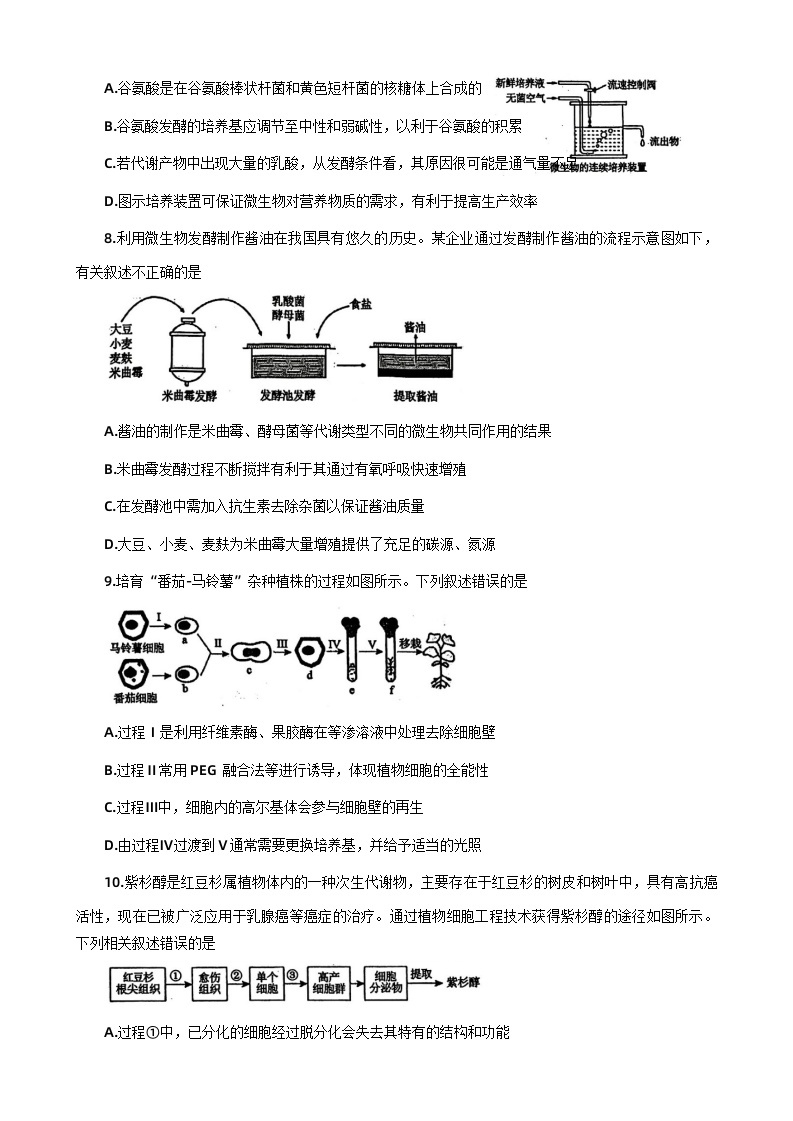 河南省洛阳市2023-2024学年高二下期期中考试生物试卷03