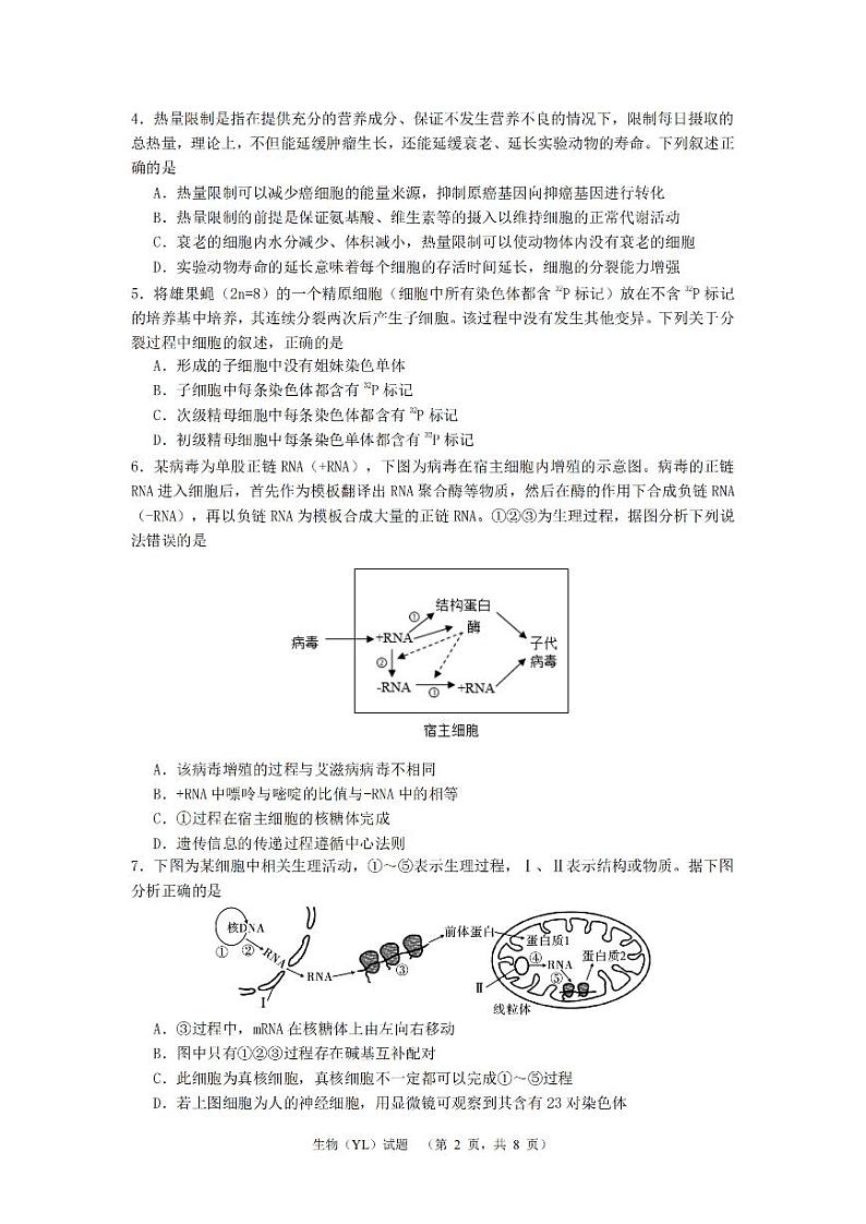 2024届湖南省长沙市雅礼中学高三下学期4月综合测试-生物试题02
