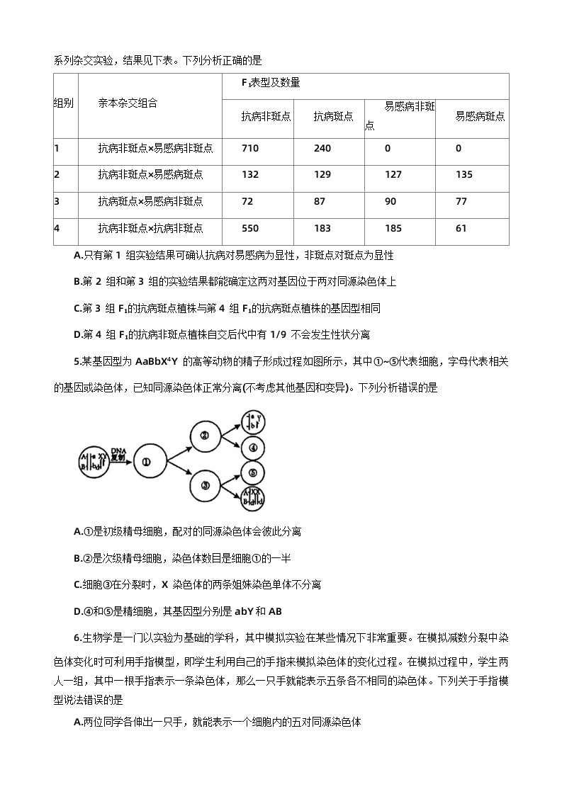 河南省洛阳市2023-2024学年高一下学期期中考试生物试题02