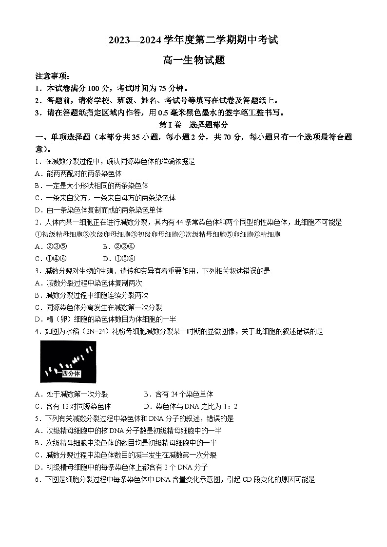 江苏省东海县2023-2024学年高一下学期期中考试生物试题01