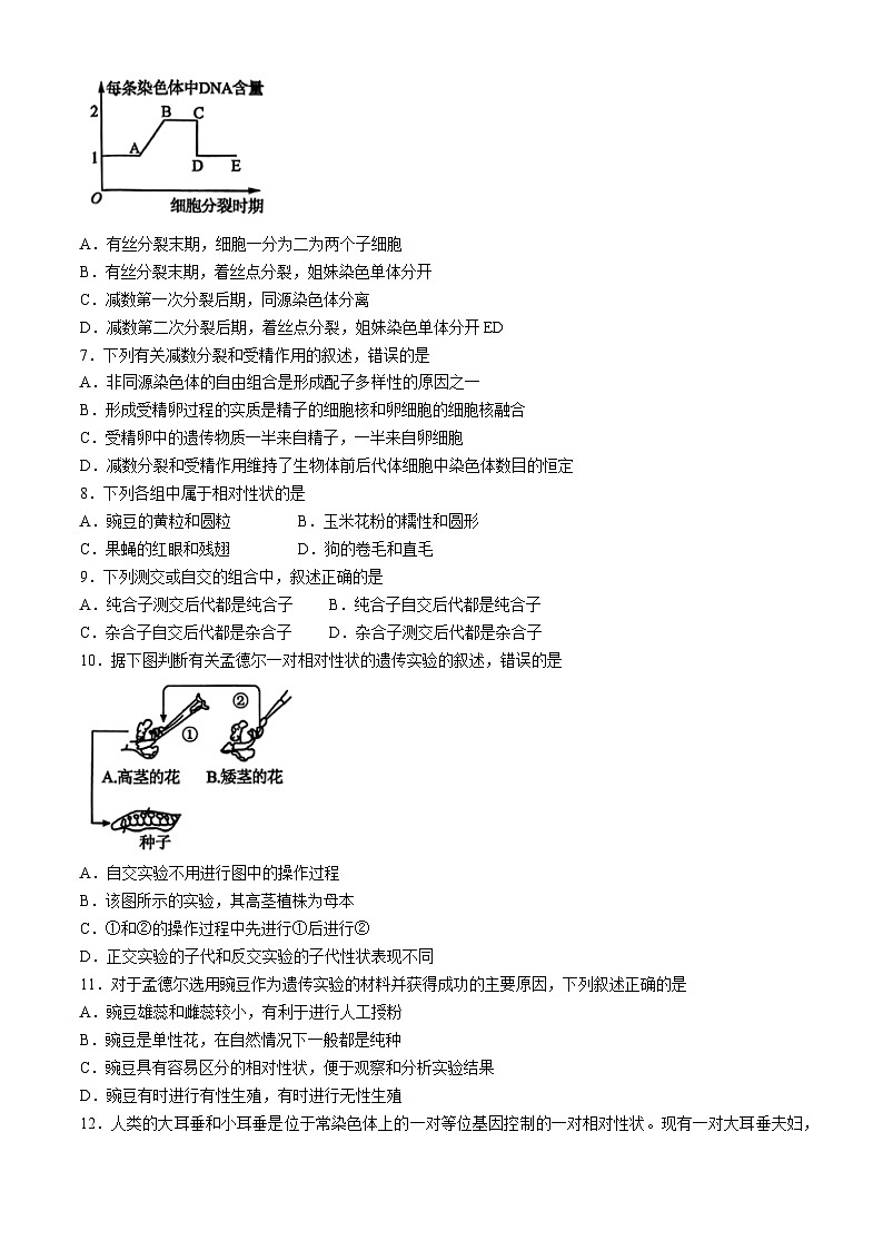 江苏省东海县2023-2024学年高一下学期期中考试生物试题02