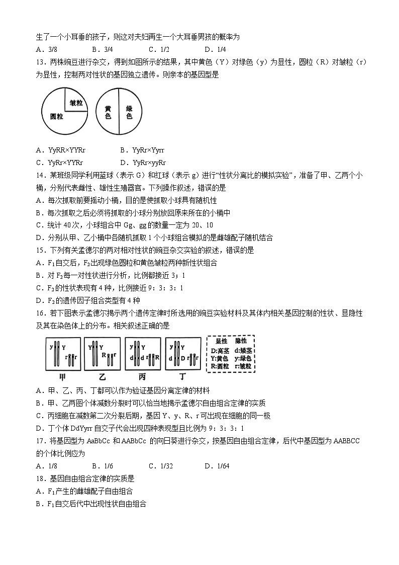 江苏省东海县2023-2024学年高一下学期期中考试生物试题03