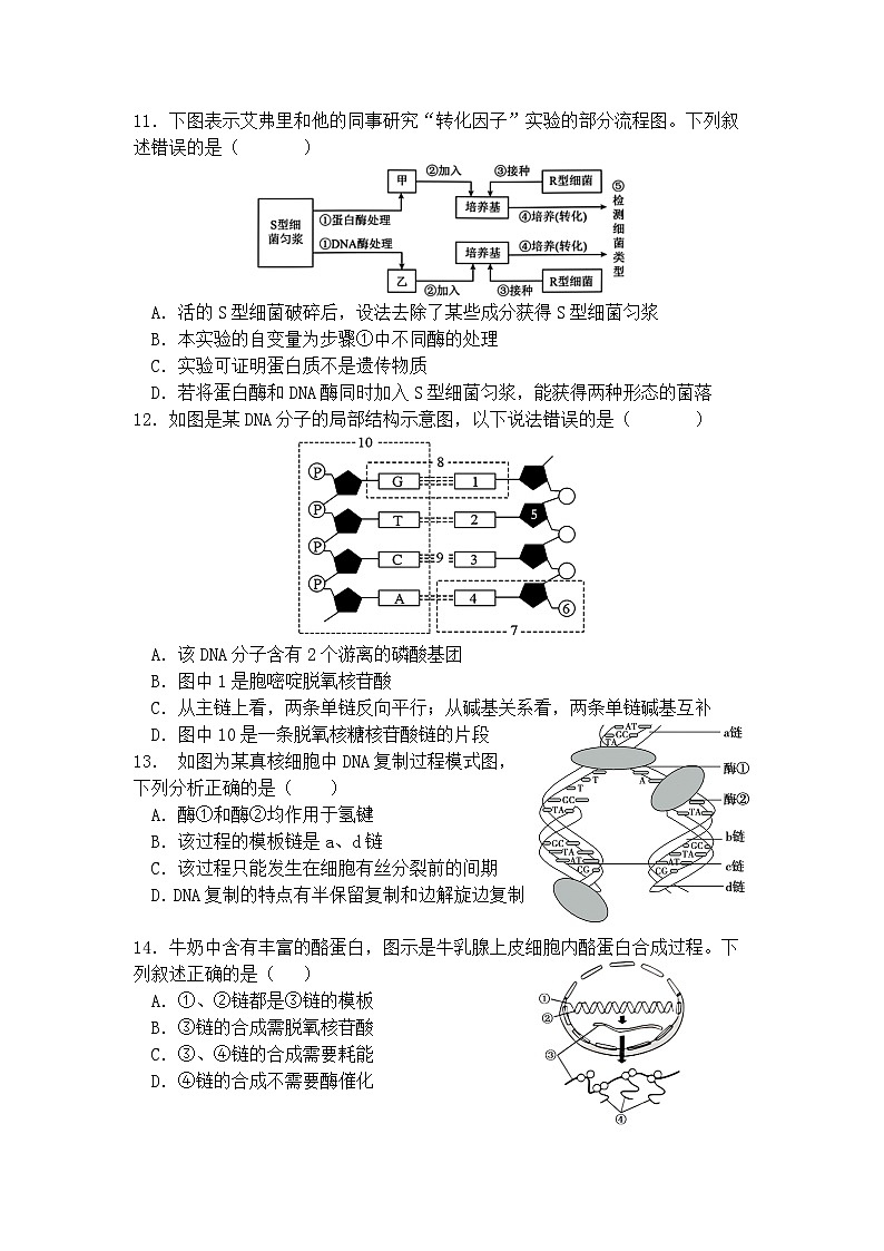 高一生物选修第3页